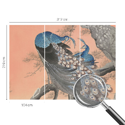 3D fototapeta Páví elegance