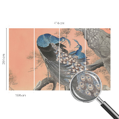 3D fototapeta Páví elegance