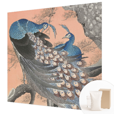 3D fototapeta Páví elegance