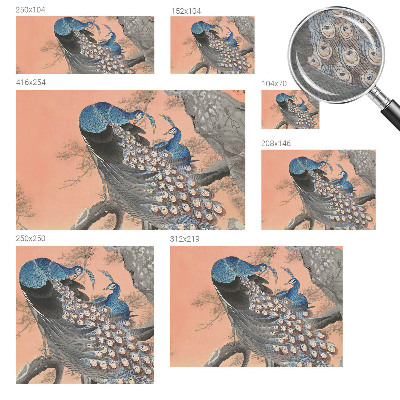 3D fototapeta Páví elegance