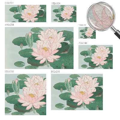 Vliesová fototapeta s potiskem Vodní lotos