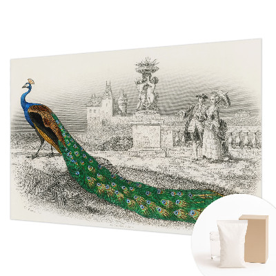 Fototapeta na stěnu Barevné peří