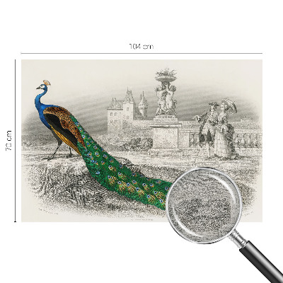 Fototapeta na stěnu Barevné peří