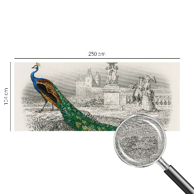 Fototapeta na stěnu Barevné peří