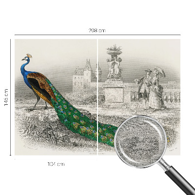 Fototapeta na stěnu Barevné peří