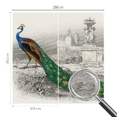 Fototapeta na stěnu Barevné peří