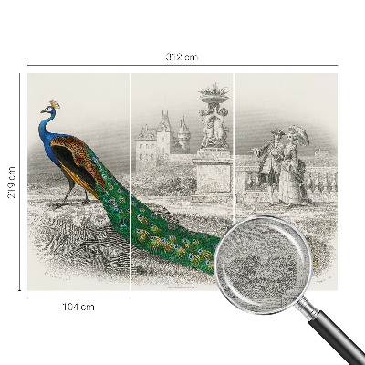 Fototapeta na stěnu Barevné peří