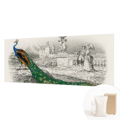 Fototapeta na stěnu Barevné peří