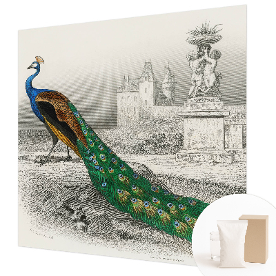 Fototapeta na stěnu Barevné peří