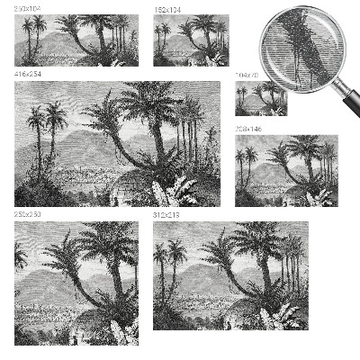 Fototapeta do obýváku Tropická oáza