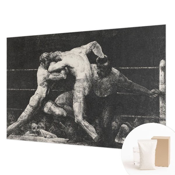 Fototapeta na míru do ložnice Souboj boxerů