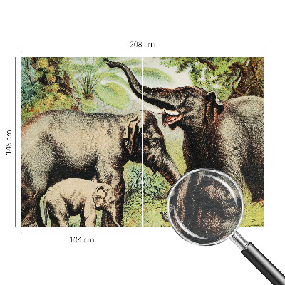 Vliesová fototapeta na zeď Rodinní sloni