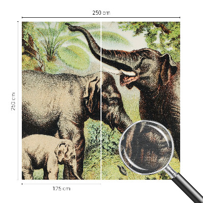 Vliesová fototapeta na zeď Rodinní sloni