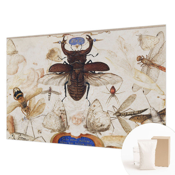 Fototapeta s potiskem na vliesu Přirozená harmonie