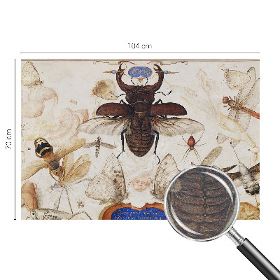 Fototapeta s potiskem na vliesu Přirozená harmonie