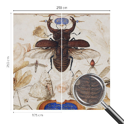 Fototapeta s potiskem na vliesu Přirozená harmonie