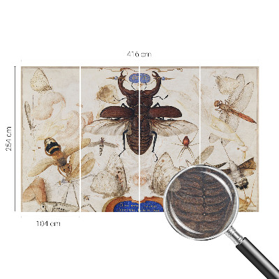 Fototapeta s potiskem na vliesu Přirozená harmonie