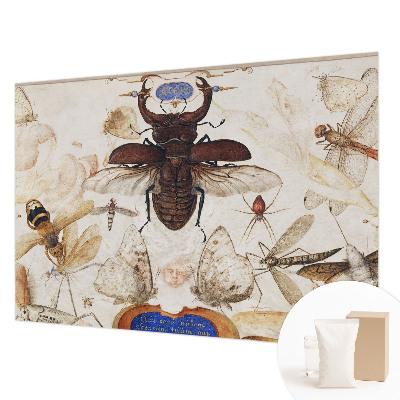 Fototapeta s potiskem na vliesu Přirozená harmonie