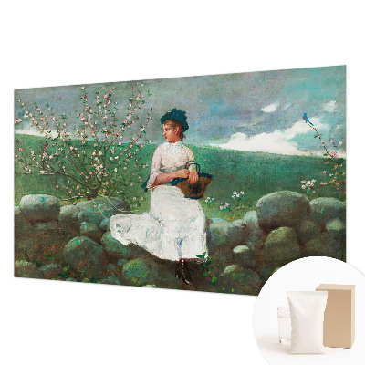 Fototapeta na míru do obýváku Květinový mír