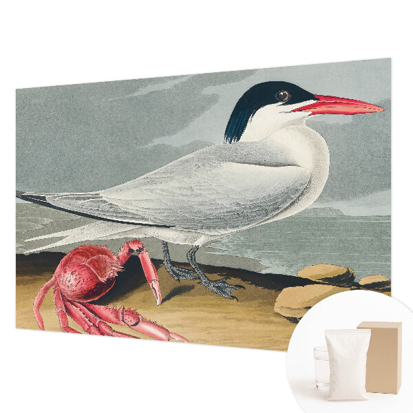 Fototapeta na stěnu Mořská scenérie