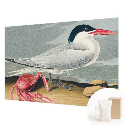 Fototapeta na stěnu Mořská scenérie