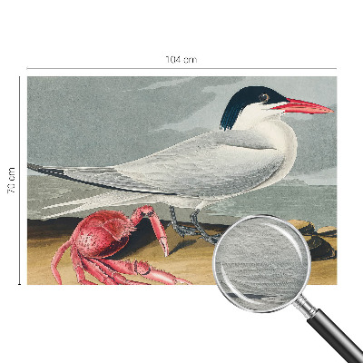 Fototapeta na stěnu Mořská scenérie