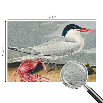 Fototapeta na stěnu Mořská scenérie