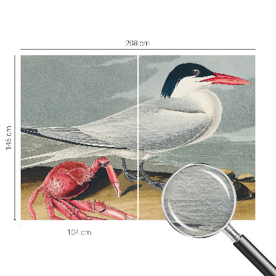 Fototapeta na stěnu Mořská scenérie