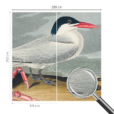 Fototapeta na stěnu Mořská scenérie