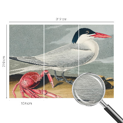 Fototapeta na stěnu Mořská scenérie