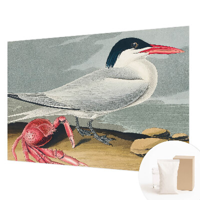 Fototapeta na stěnu Mořská scenérie