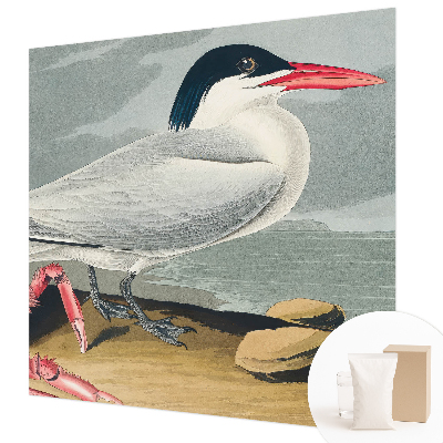 Fototapeta na stěnu Mořská scenérie