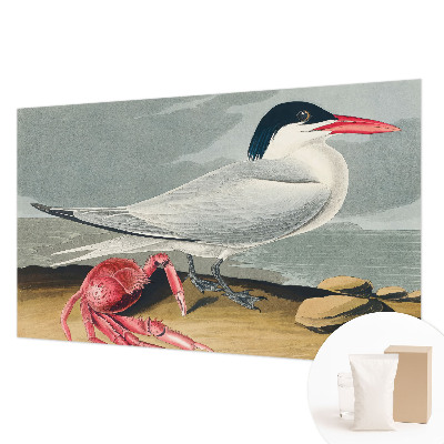 Fototapeta na stěnu Mořská scenérie