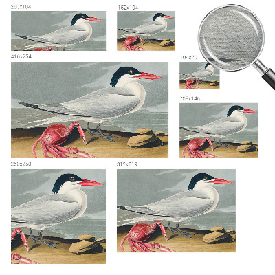 Fototapeta na stěnu Mořská scenérie