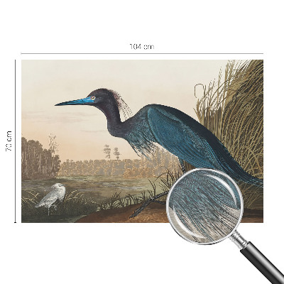 Fototapeta do ložnice Vodní ptáci