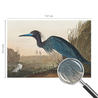 Fototapeta do ložnice Vodní ptáci