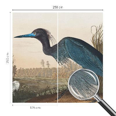 Fototapeta do ložnice Vodní ptáci