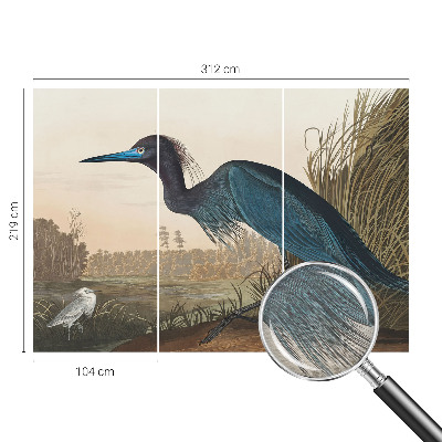 Fototapeta do ložnice Vodní ptáci