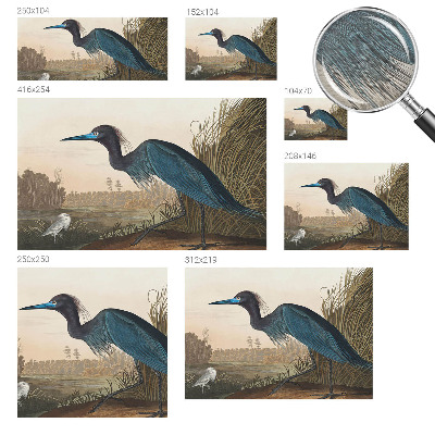 Fototapeta do ložnice Vodní ptáci