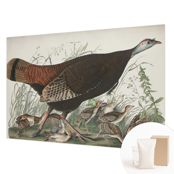 3D fototapeta Přirozená harmonie