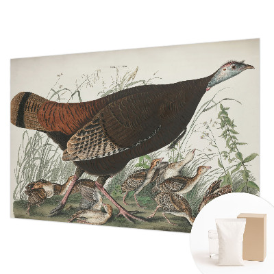 3D fototapeta Přirozená harmonie