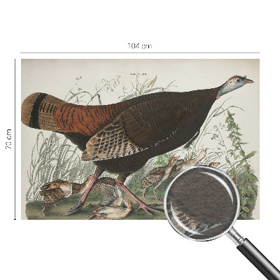 3D fototapeta Přirozená harmonie