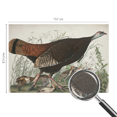 3D fototapeta Přirozená harmonie