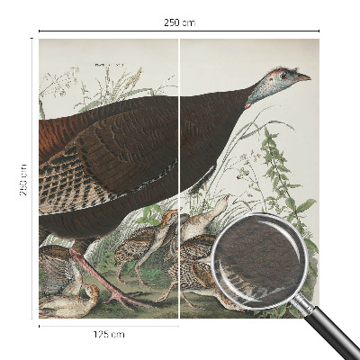 3D fototapeta Přirozená harmonie