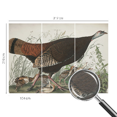 3D fototapeta Přirozená harmonie