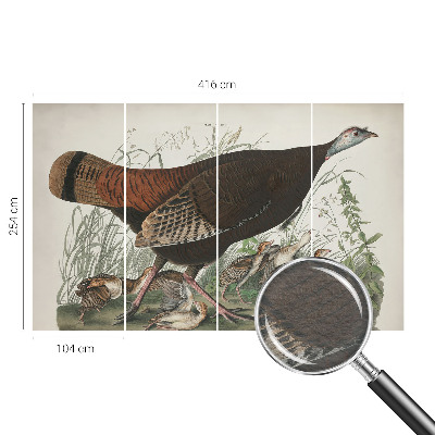 3D fototapeta Přirozená harmonie