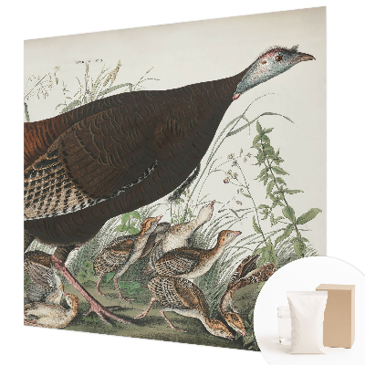 3D fototapeta Přirozená harmonie