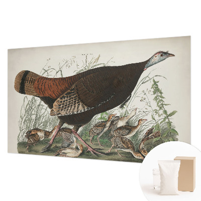 3D fototapeta Přirozená harmonie