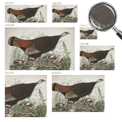 3D fototapeta Přirozená harmonie