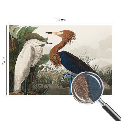 Vliesová fototapeta na zeď Ptáci v rostlinách